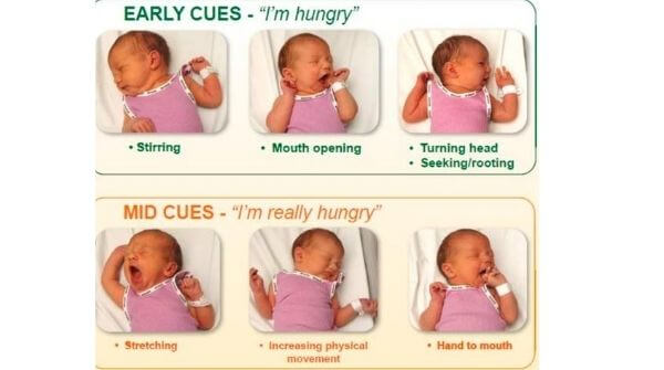 Becoming a father is a great responsibility, these are various ways in which baby shows cues or signals for hunger.