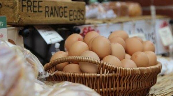 Eggs are considered as one of the best foods for weight loss. Doctors always suggest to include these in diet due to their low fat content.