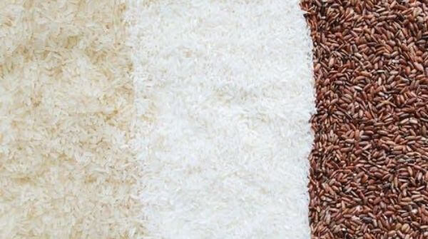 Rice is super light to digest and it is tasty at the same time. It is also considered as fat burning food. Eat it in lunch or dinner.