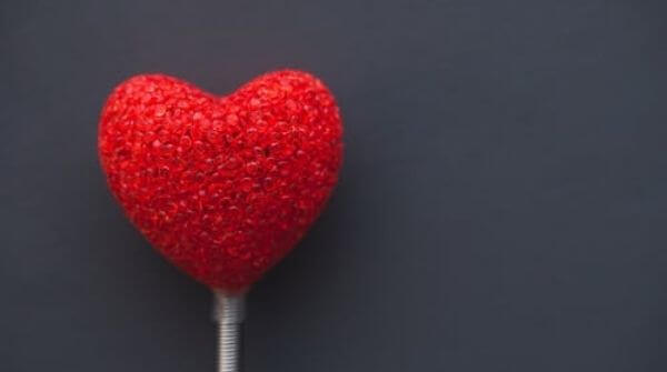 Nuts keeps heart problems away. They reduce cholesterol and lower the chances of heart attack.