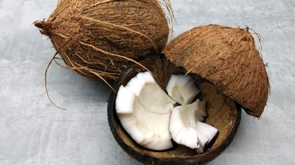 Coconut is the best hydrator and also good moisture. It also helps to relieve the crack from your lips