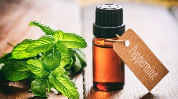 Peppermint oil is great to calm your mind. Also, it will help you to relax your body.
