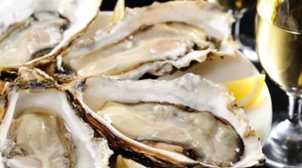 Oysters are extremely nutritious for your body. Include them in your diet now.