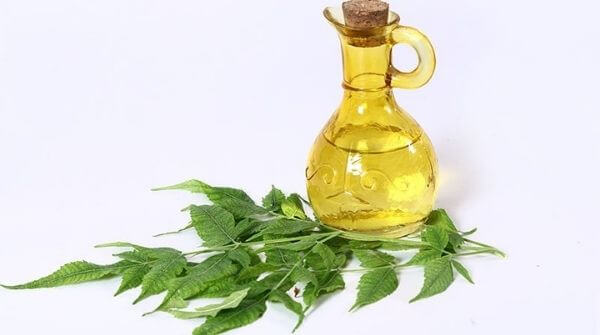 a flask of neem massage oil with some neem leaves near it.